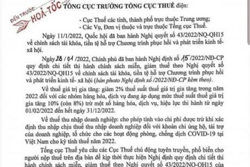 Nghị định số 15/2022/NĐ-CP Hướng dẫn giảm thuế GTGT từ 10% về 2% năm 2022